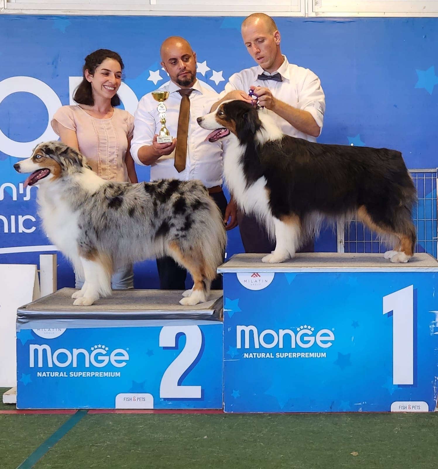 Snir Orr-Levi presenting Australian Shepherd Best of Breed and Best Opposite Sex winners