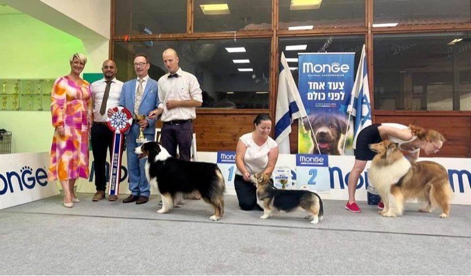 Snir Orr-Levi at a dog show main ring presentation